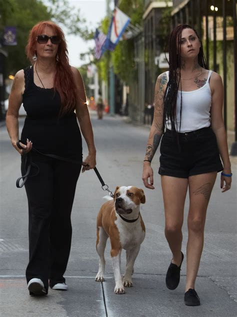 how did prada the pitbull died|Prada pitbulls and parolees.